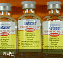 케타민(Ketamine)