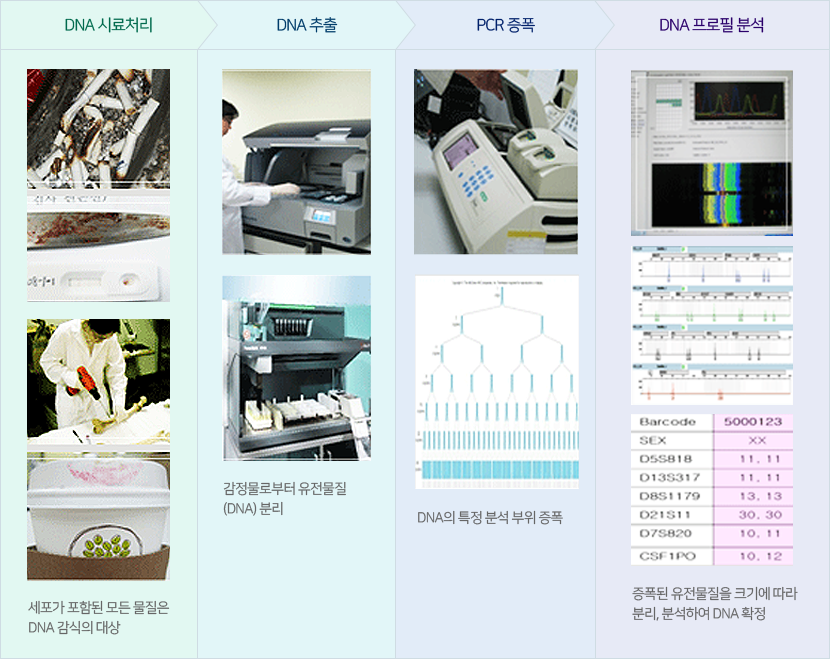 DNA감식의 절차 관련 사진