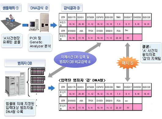 미제사건 용의자 검색 모식도 관련 사진