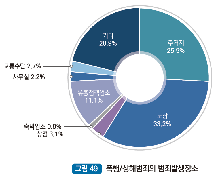폭행/상해범죄의 범죄발생장소 : 주거지 25.9%, 노상 33.2%, 상점 3.1%, 숙박업소 0.9%, 유흥접객업소 11.1%, 사무실 2.2%, 교통수단 2.7% , 기타 20.9%
