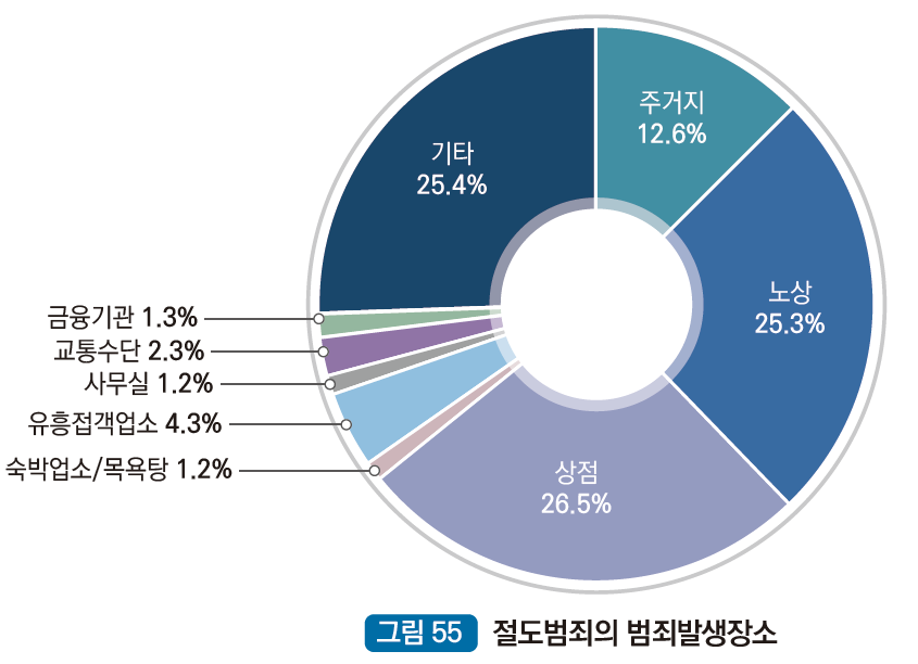 절도범죄 발생장소 : 주거지 12.6%, 노상 25.3%, 상점 26.4%, 숙박업소/목욕탕 1.2%, 유흥접객업소 4.3%, 사무실 1.2%, 교통수단 2.3%, 금융기관 1.3%, 기타 25.4%