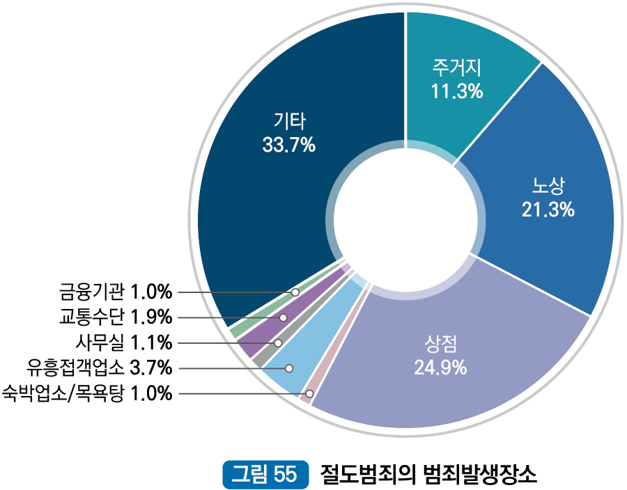절도범죄 발생장소 : 주거지 11.3%, 노상 21.3%, 상점 24.9%, 숙박업소/목욕탕 1.0%, 유흥접객업소 3.7%, 사무실 1.1%, 교통수단 1.9%, 금융기관 1.0%, 기타 33.7%