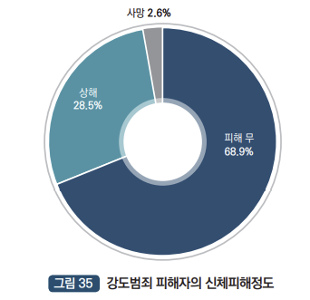강도범죄의 신체피해정도 : 피해무 68.9%, 상해 28.5%, 사망 2.6%