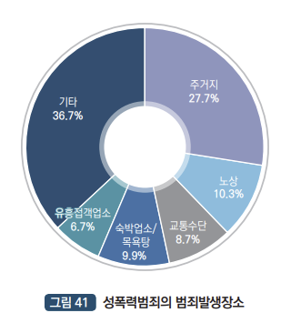 성폭력범죄의 발생장소 : 주거지27.7%, 노상 10.3%, 교통수단 8.7%, 숙박업소/목욕탕 9.9%, 유흥접객업소 6.7%, 기타 36.7%