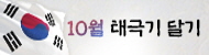 태극기 달기 운동