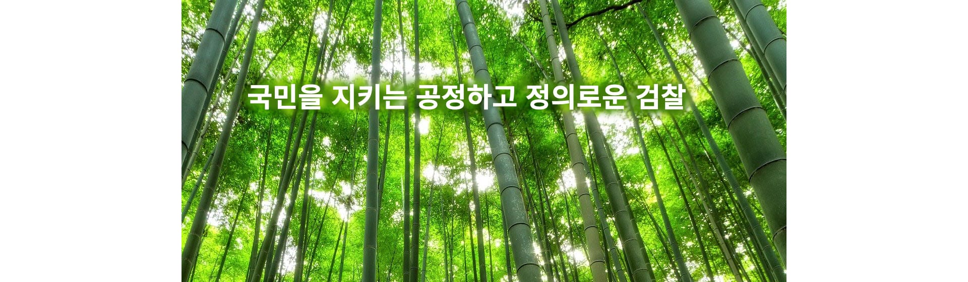 국민을 지키는 공정하고 정의로운 검찰